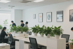 扬州办公室搬家新家具安装吗