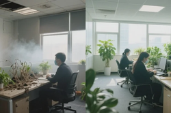别墅搬家价格行情如何