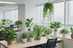 公司搬迁排行榜支持周末搬家吗