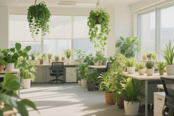 企业搬家哪里有应急预案