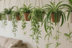 企业搬家搬运重物